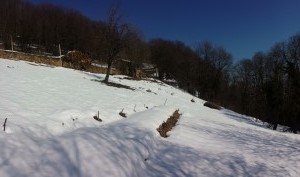 20150212_124938 